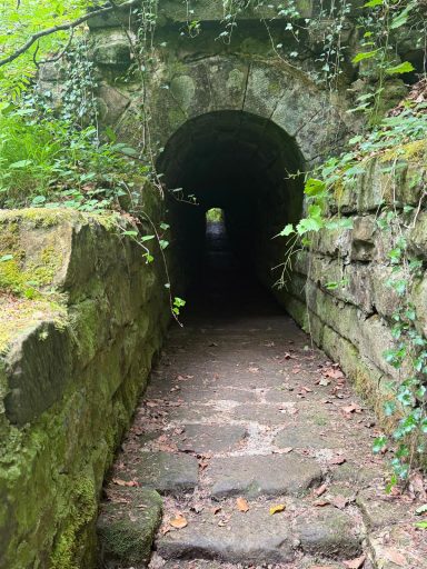 een watertunnel bij de drinkbak