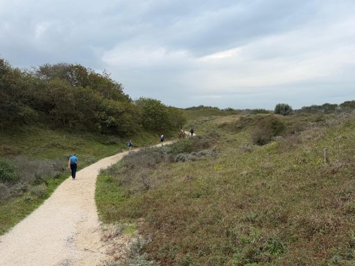 Dwars door de duinen