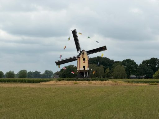 De molen van Overasselt