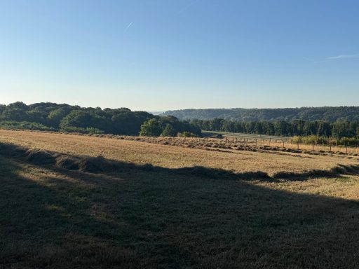 Het uitzicht op de vroege ochtend