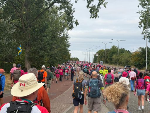 De brug over de Maas