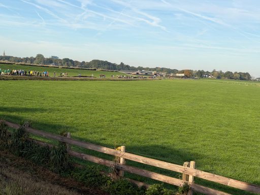 Wandelaars in de verte