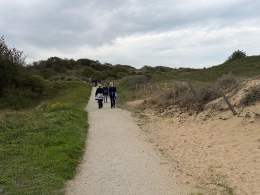 Dwars door de duinen
