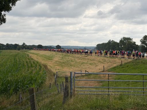 De dijk van Overasselt naar Heumen