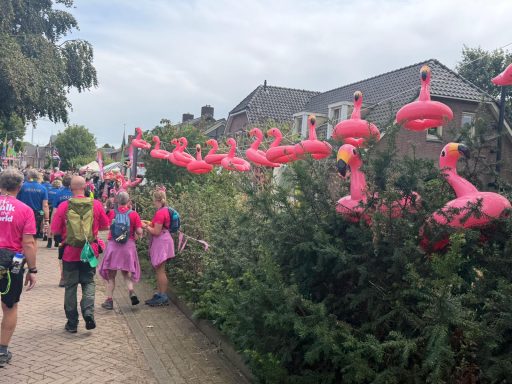 De Via Flamingo in Weurt